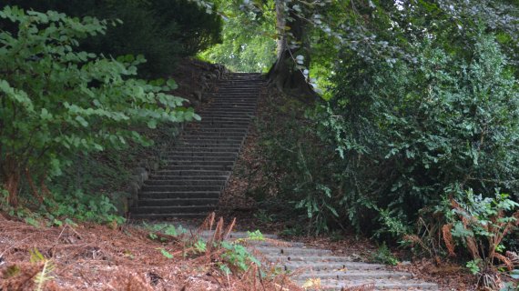 Foto: Søllerød Kirkegård lang trappe