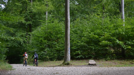 Foto: Maglebjerg - to mountainbikere