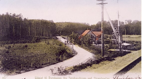 dyrehaven og rød port fra jernbanen ca 1905.jpg