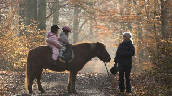 Foto: Rude Skov - børn på pony i skoven - foto af jean Schweizer