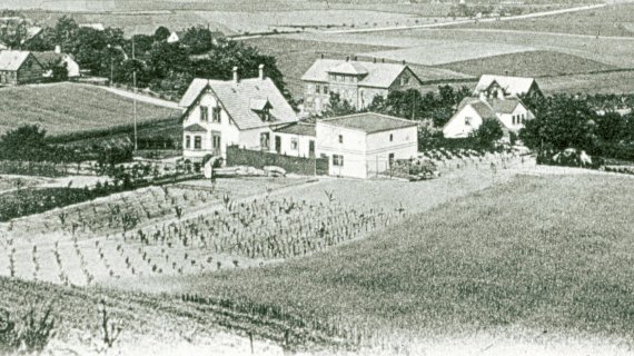 Foto: Udsigt fra Høbjerg 1901