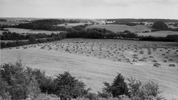 Foto: Udsigt fra højderne ved Høje Sandbjerg 1937