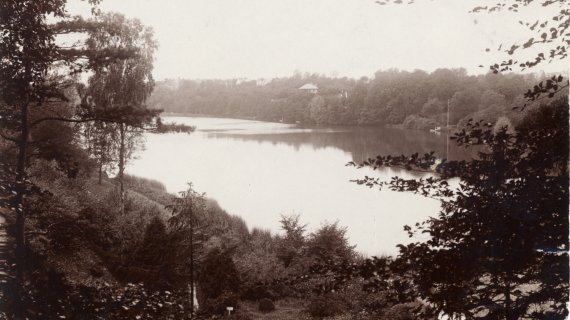 Foto: Udsigt fra Søllerød Kirkegård mod Søllerød_sø ca. 1910