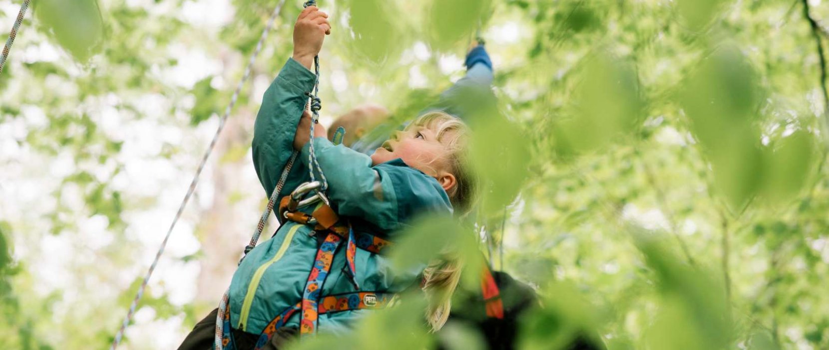 Foto: Arrangement i naturskolen - Skovens Dag - børn der kravler i træer