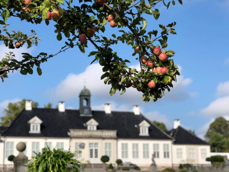 Æbledag på Gl. Holtegaard