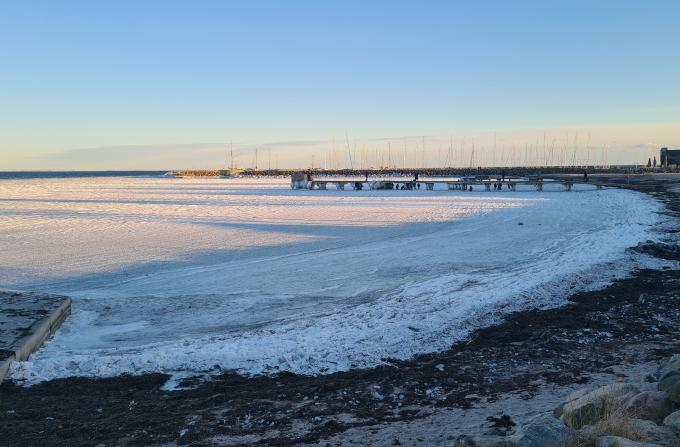 Vedbæk Nordstrand Vinter februar 2021