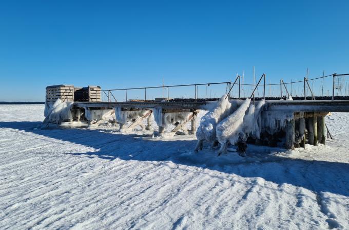 Vedbæk Nordstrand Vinter februar 2021