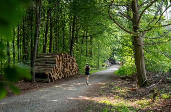 Motionsløber i skoven ved Skodsborg