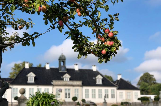 Æbledag på Gl. Holtegaard