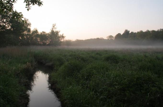 Morgenstemning ved Maglemoserenden