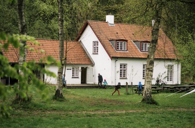 Naturskolen
