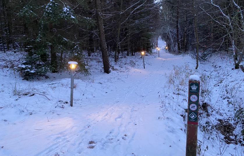 LysLøjpen belyst i let sne, november eftermiddag 2023